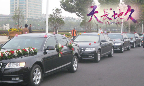 「天长地久」宝马740×1 + 奥迪A6L×8/海南专业婚庆用车 「天长地久」宝马740×1 + 奥迪A6L×8/海南专业婚庆用车